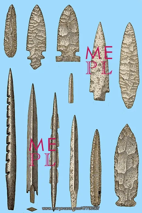 : Mesolithic and Neolithic Flint Tools : Mesolithic and Neolithic Flint Tools