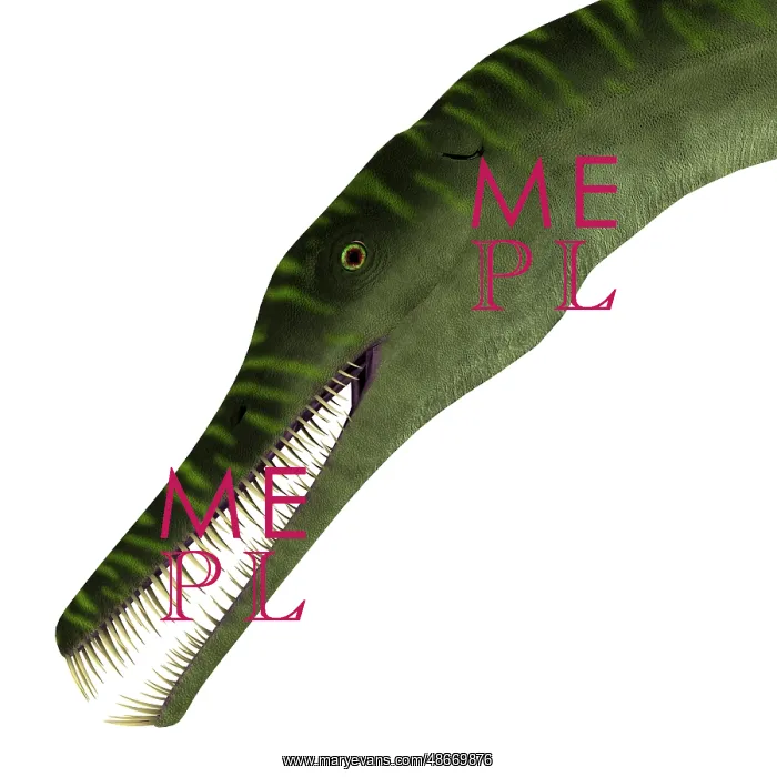 : Mesosaurus aquatic reptile headshot : Mesosaurus aquatic reptile headshot