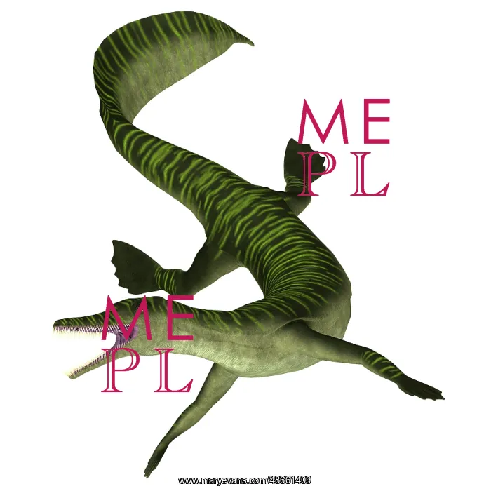 : Mesosaurus aquatic reptile on white background : Mesosaurus aquatic reptile on white background