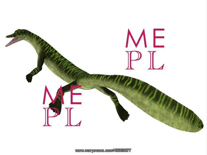 : Mesosaurus aquatic reptile on white background : Mesosaurus aquatic reptile on white background