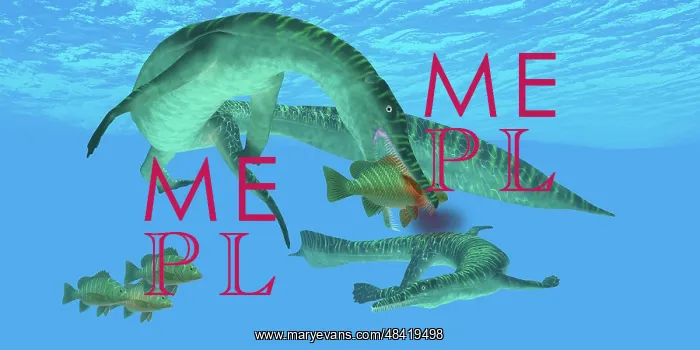 : Mesosaurus attacks a Mangrove red snapper fish : Mesosaurus attacks a Mangrove red snapper fish