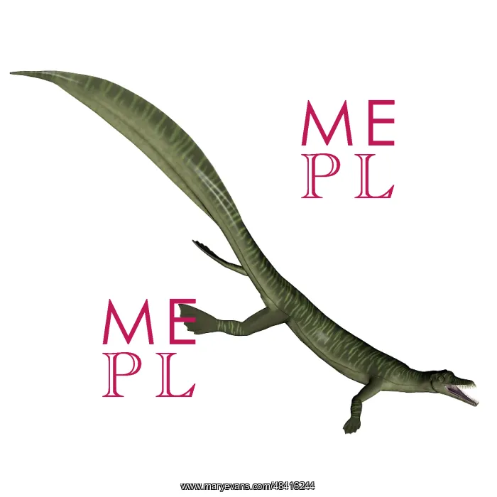 : Mesosaurus dinosaur : Mesosaurus dinosaur