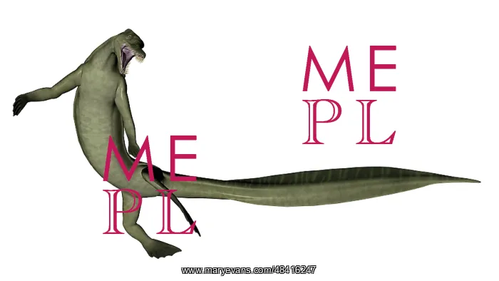 : Mesosaurus dinosaur : Mesosaurus dinosaur