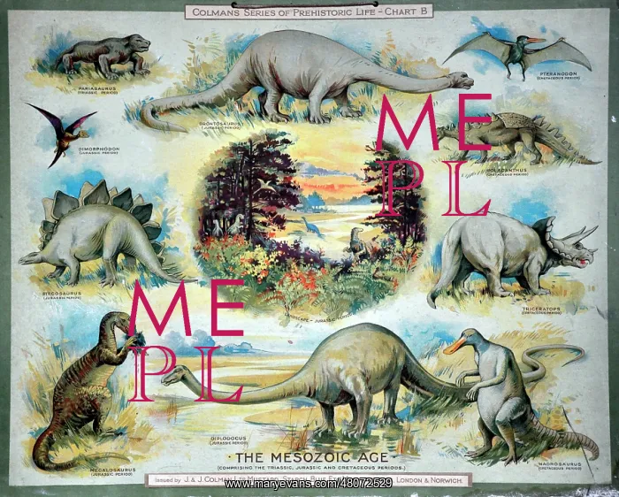 : The Mesozoic Age : The Mesozoic Age