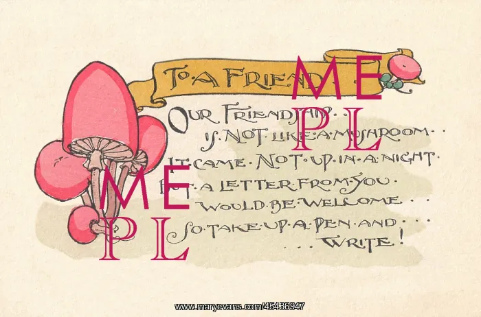 : Message to a Friend : Message to a Friend