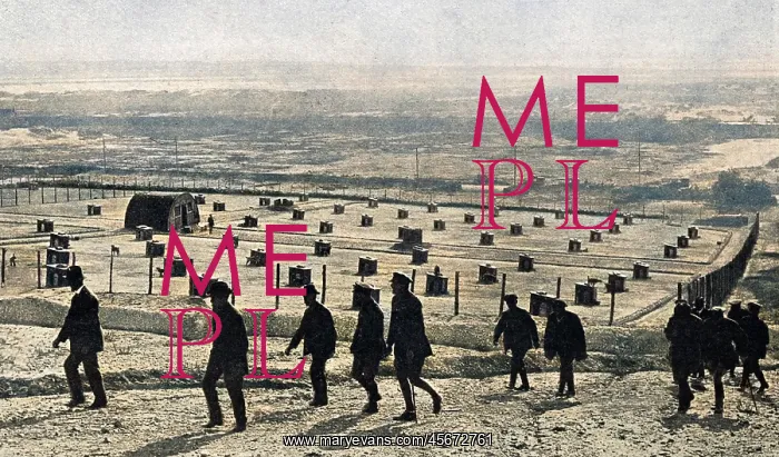 : Messenger dog depot on the Western Front : Messenger dog depot on the Western Front