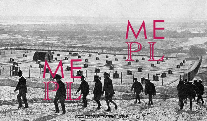 : Messenger dog depot on the Western Front : Messenger dog depot on the Western Front