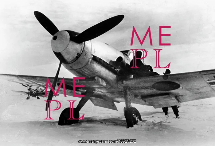: Messerschmitt Me 109 - the Eastern Front, 1942 : Messerschmitt Me 109 - the Eastern Front, 1942