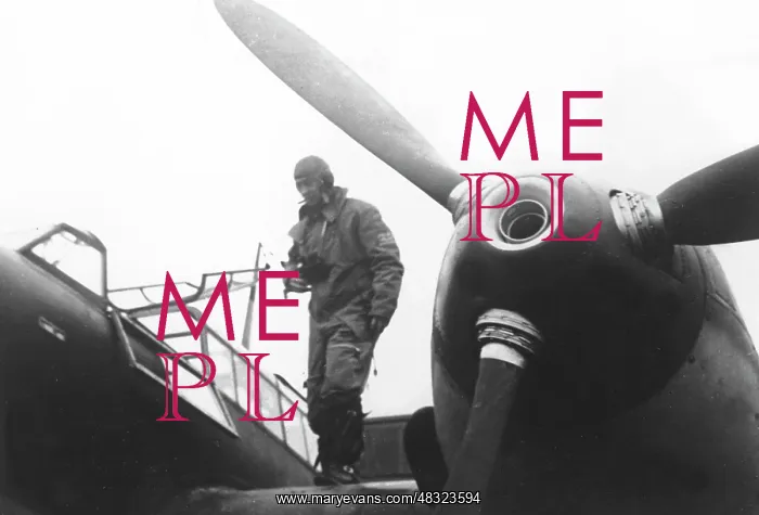 : Messerschmitt Me 110, 1940 : Messerschmitt Me 110, 1940