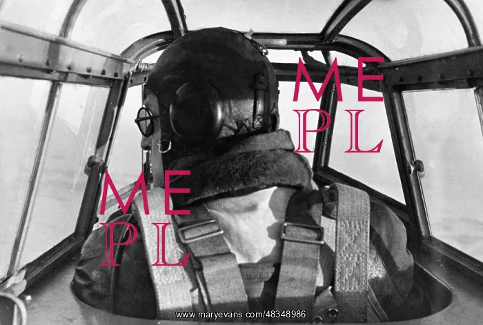 : Messerschmitt Me 110, 1940 : Messerschmitt Me 110, 1940
