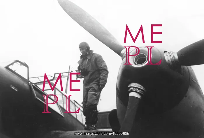 : Messerschmitt Me 110, 1940 : Messerschmitt Me 110, 1940