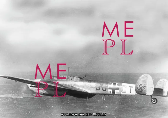 : Messerschmitt Me 110, 1941 : Messerschmitt Me 110, 1941