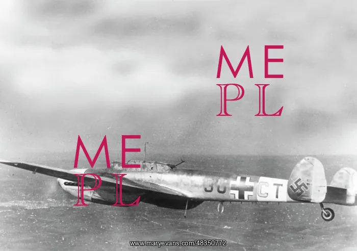 : Messerschmitt Me 110, 1941 : Messerschmitt Me 110, 1941