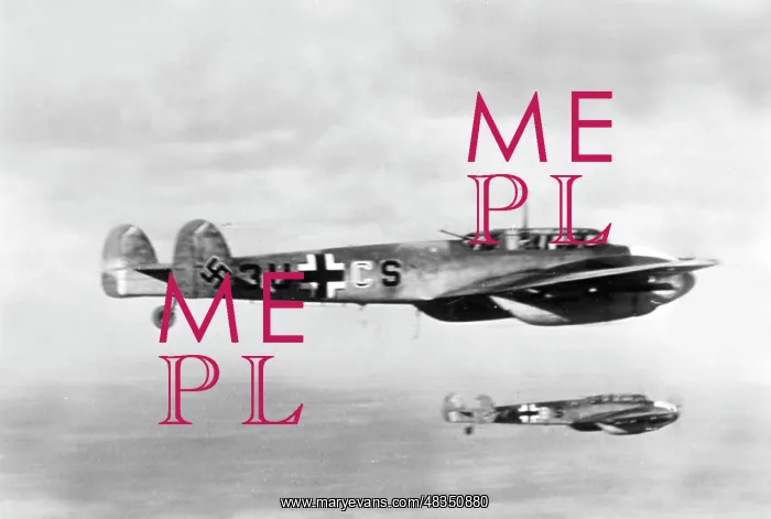: Messerschmitt Me 110, 1941 : Messerschmitt Me 110, 1941