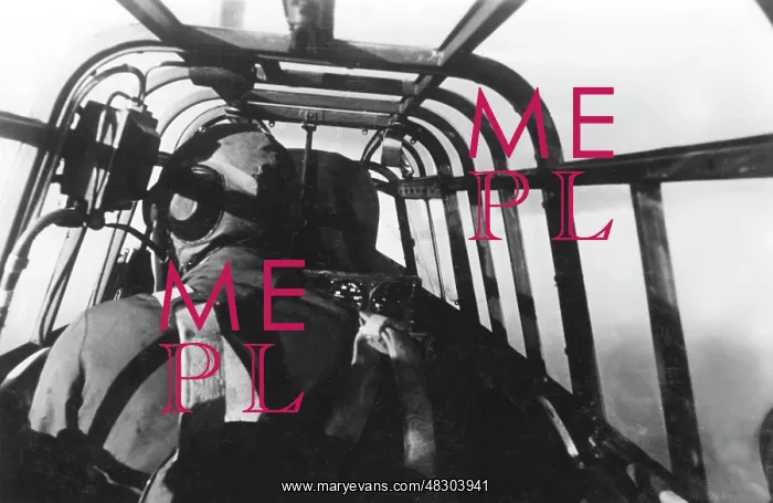 : Messerschmitt Me 110, 1942 : Messerschmitt Me 110, 1942