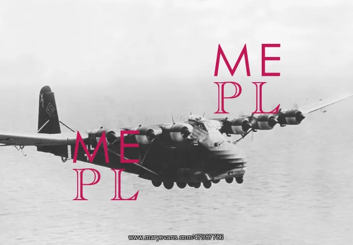 : Messerschmitt Me 323 Gigant : Messerschmitt Me 323 Gigant
