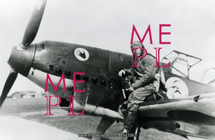 : Messerschmitt Bf-109C-2 : Messerschmitt Bf-109C-2