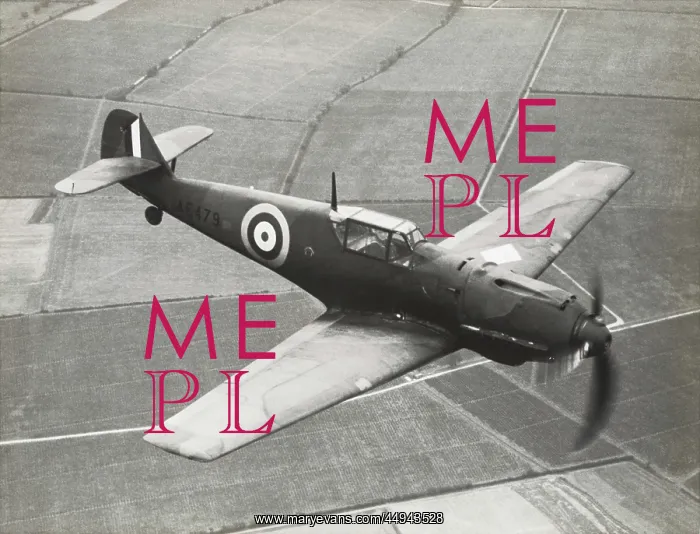  : Messerschmitt Bf-109E-3