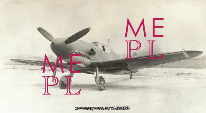 : Messerschmitt Bf-109F : Messerschmitt Bf-109F
