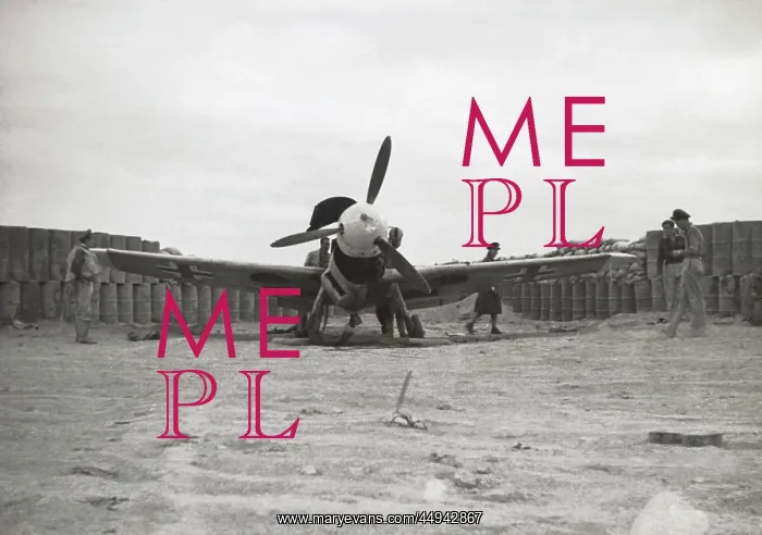 : Messerschmitt Bf-109F : Messerschmitt Bf-109F