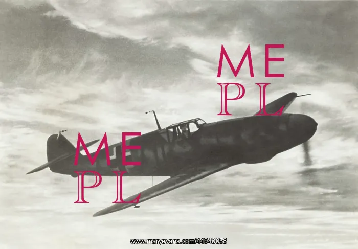  : Messerschmitt Bf-109F