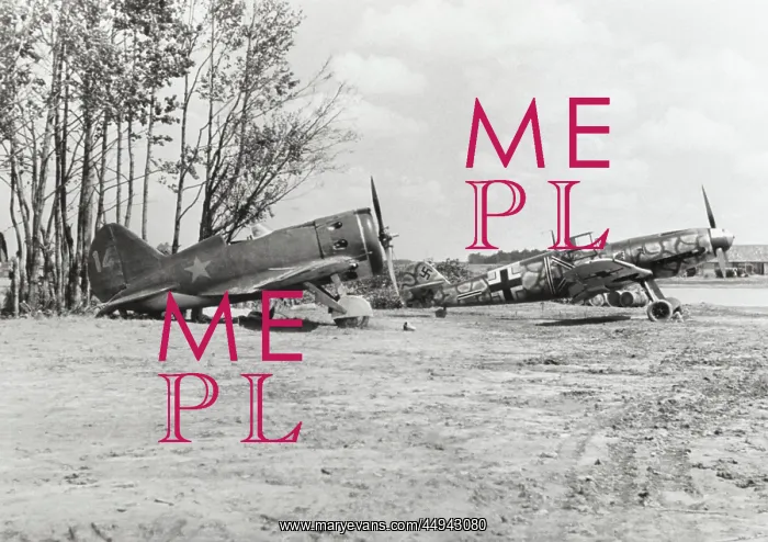 : Messerschmitt Bf-109F : Messerschmitt Bf-109F