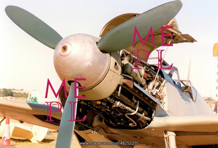 : Messerschmitt Bf 109G-2 8478M - RN228 : Messerschmitt Bf 109G-2 8478M - RN228