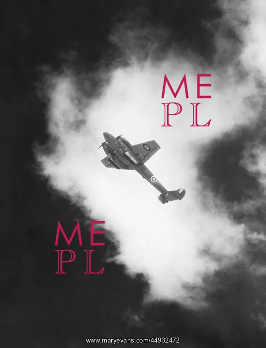 : Messerschmitt Bf-110 : Messerschmitt Bf-110