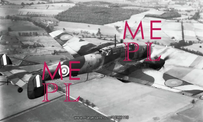 : Messerschmitt Bf-110 : Messerschmitt Bf-110