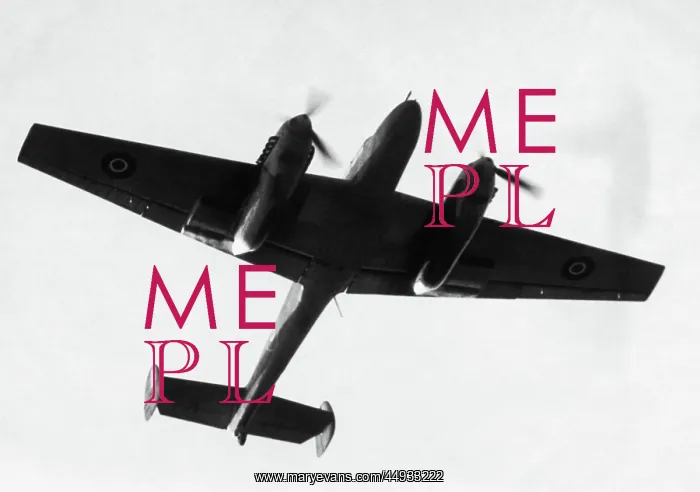 : Messerschmitt Bf-110 : Messerschmitt Bf-110