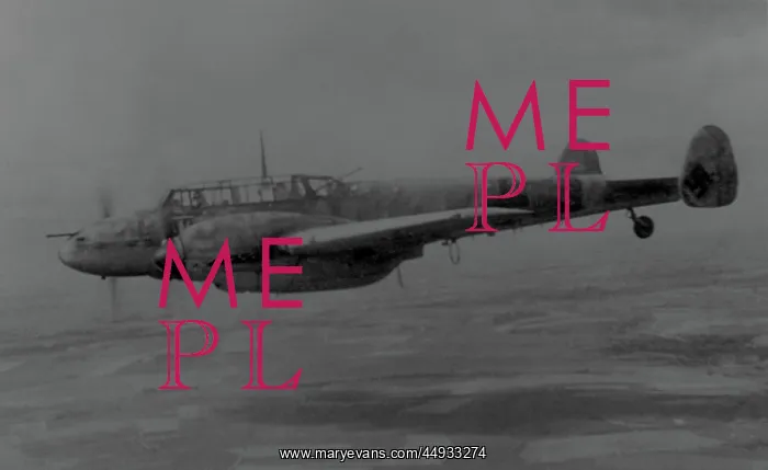 : Messerschmitt Bf-110 : Messerschmitt Bf-110