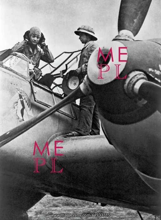 : Messerschmitt Bf-110 : Messerschmitt Bf-110