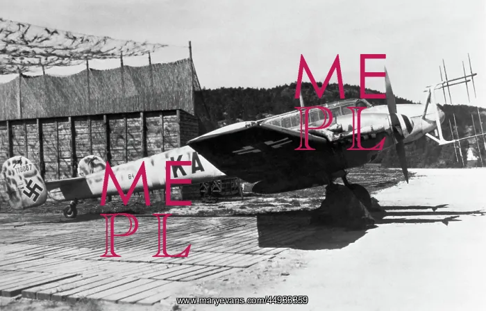 : Messerschmitt Bf-110 : Messerschmitt Bf-110