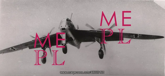 : Messerschmitt Me265 fighter project (artist's impression) : Messerschmitt Me265 fighter project (artist's impression)