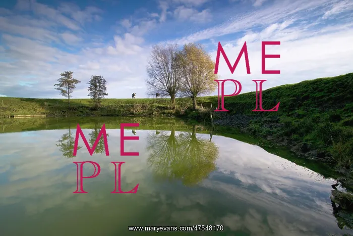 : Messines Ridge : Messines Ridge