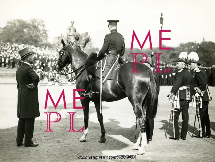 : Met Police centenary celebrations, Buckingham Palace : Met Police centenary celebrations, Buckingham Palace