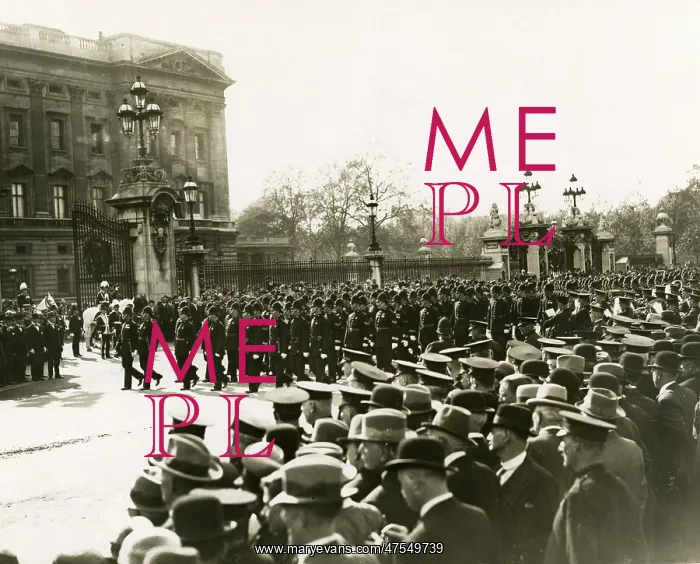 : Met Police centenary celebrations, Buckingham Palace : Met Police centenary celebrations, Buckingham Palace