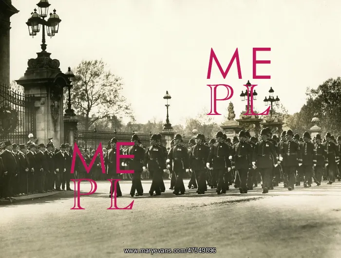 : Met Police centenary celebrations, Buckingham Palace : Met Police centenary celebrations, Buckingham Palace