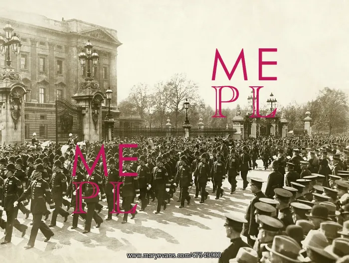 : Met Police centenary celebrations, Buckingham Palace : Met Police centenary celebrations, Buckingham Palace