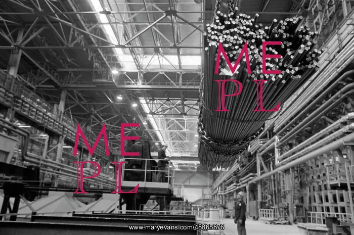 : Metallurgical plant : Metallurgical plant