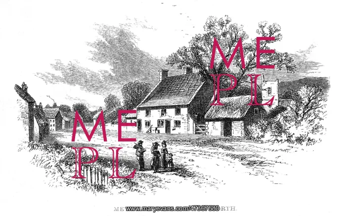: METCALF'S HOME : METCALF'S HOME