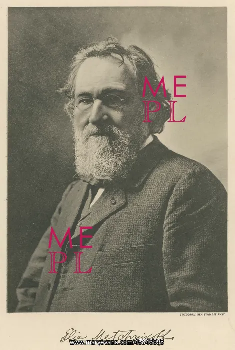 : METCHNIKOFF : METCHNIKOFF