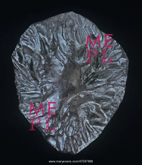: Meteorite. The conical shape points in the direction of travel during atmospheric flight : Meteorite. The conical shape points in the direction of travel during atmospheric flight