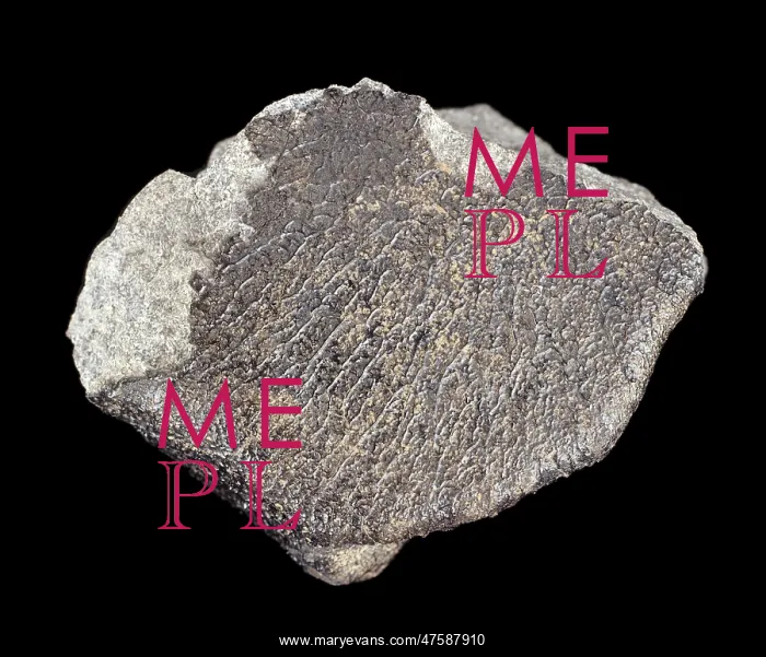 : Meteorite. The fusion crust is a thin coating that may be glassy or matt in appearance : Meteorite. The fusion crust is a thin coating that may be glassy or matt in appearance