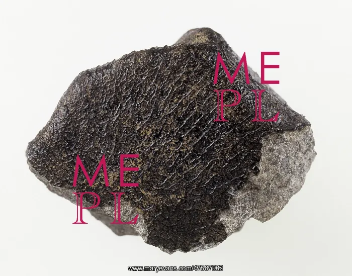 : Meteorite. The fusion crust is a thin coating that may be glassy or matte in appearance : Meteorite. The fusion crust is a thin coating that may be glassy or matte in appearance