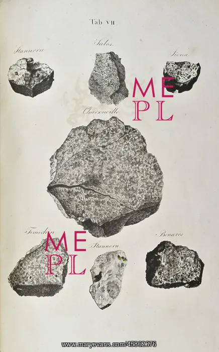 : Meteorites (ordinary chondrite) : Meteorites (ordinary chondrite)