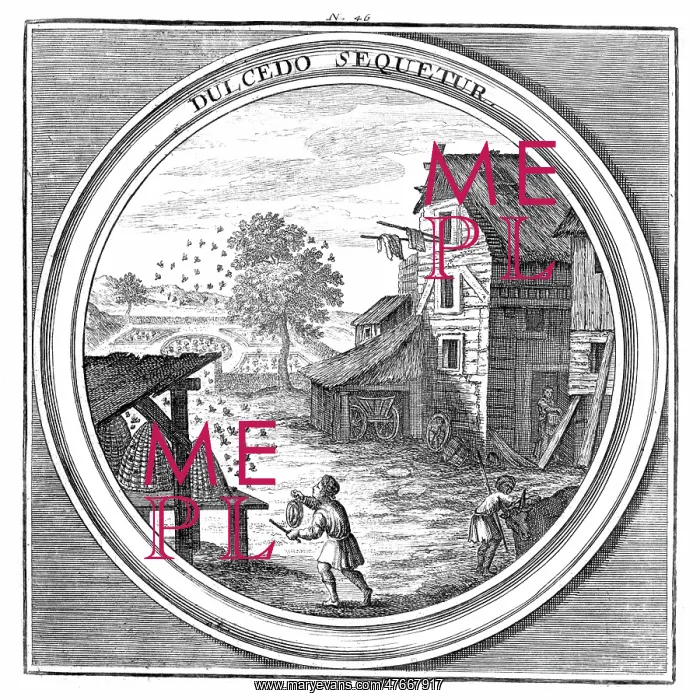 : Meteorologia, Apiculture, 1709 : Meteorologia, Apiculture, 1709