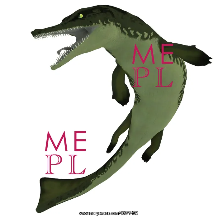 : Metriorhynchus, an extinct genus of crocodyliform from the ? : Metriorhynchus, an extinct genus of crocodyliform from the ?