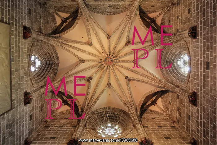 : Metropolitan CathedralnoaeBasilica of the Assumption : Metropolitan CathedralnoaeBasilica of the Assumption
