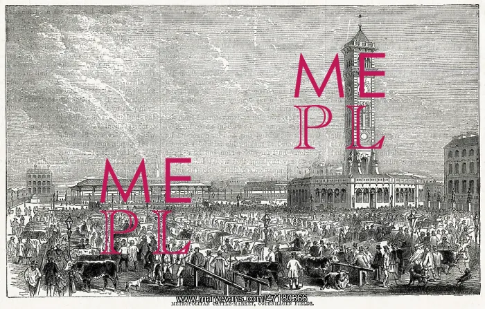 : Metropolitan Cattle Market, Copenhagen Fields, London 1868 : Metropolitan Cattle Market, Copenhagen Fields, London 1868